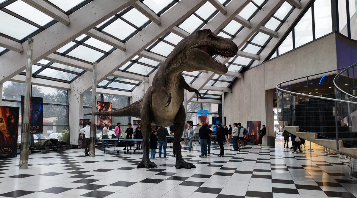 Ping pong in location esclusiva per eventi privati